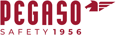 logo pegaso